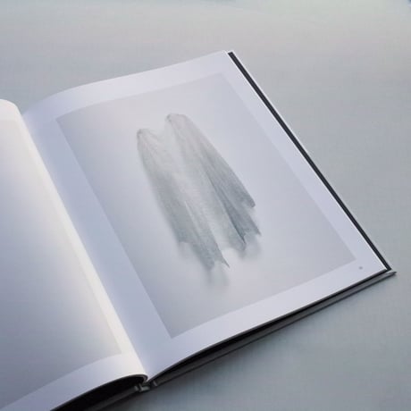 Doris Salcedo / Tabula Rasa
