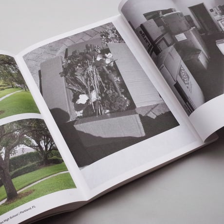Andres Gonzalez / American Origami