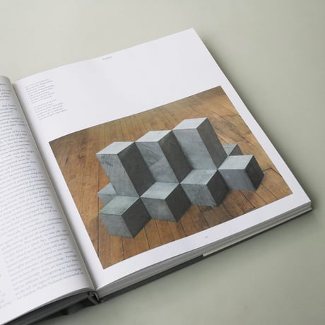 Carl Andre / Things in their Element