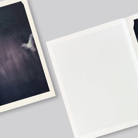 Paolo Roversi / Des oiseaux