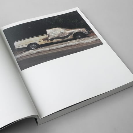 Geert Goiris / World Without Us