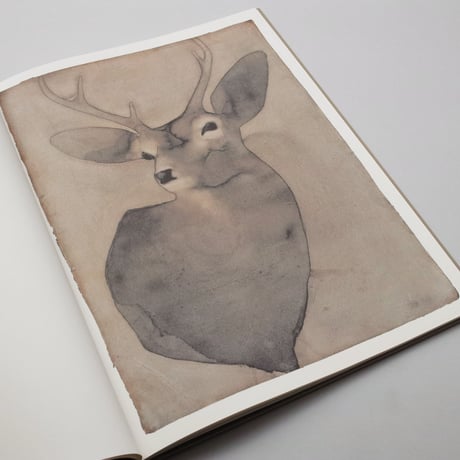 Mats Gustafson / DEER (Limited Edition)