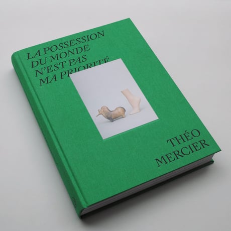 Théo Mercier / La Possession du monde n’est pas ma priorité