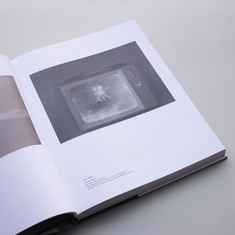 Vija Celmins / To Fix the Image in Memory