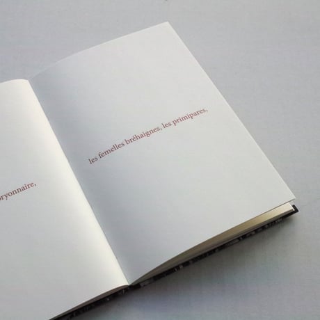 Sophie Calle / Les Fanfares de circonstance