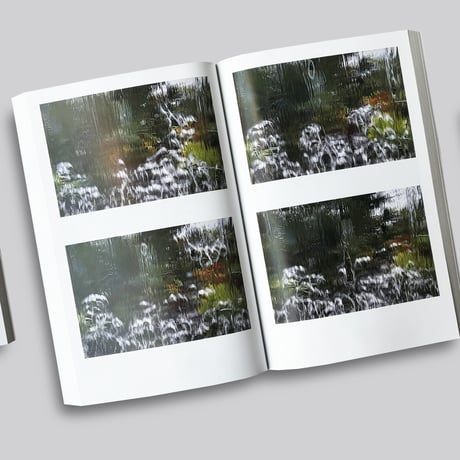 Chulhoon Jung / Arboretum