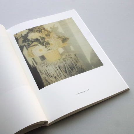 Cy Twombly / photographien, 1951-2010