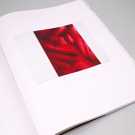James Drake / Red Drawings & White Cut-outs 