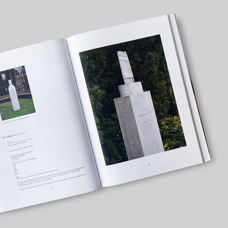 Cy Twombly / Catalogue Raisonne Of Sculpture Vo