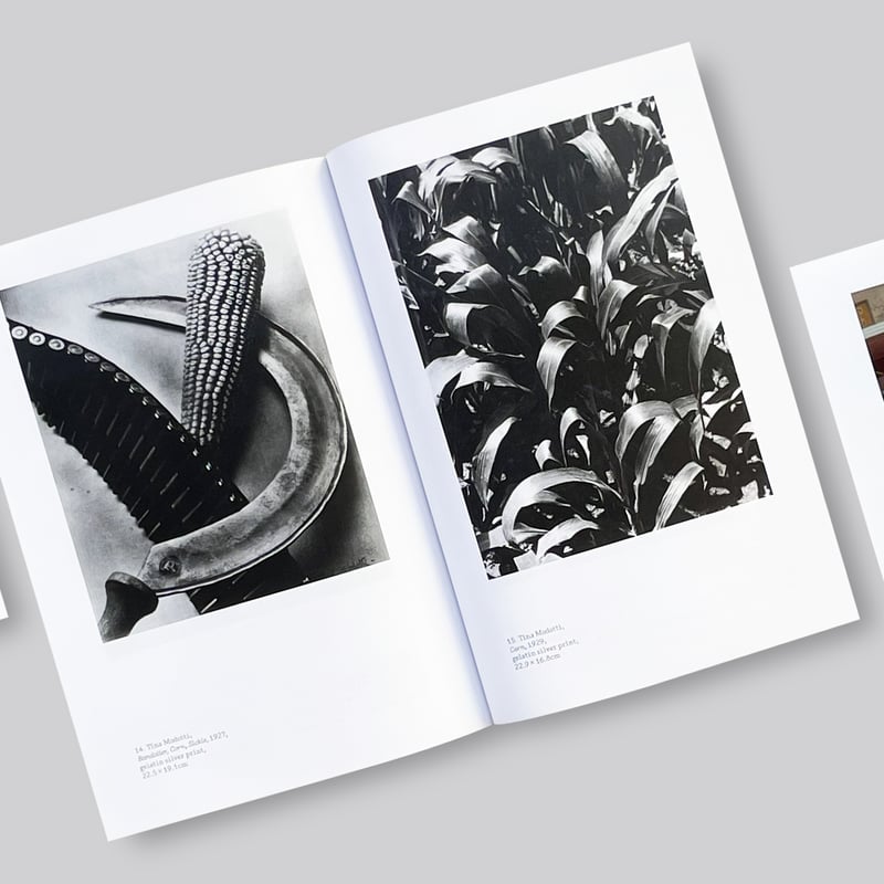 洋書 古本】Walker Evans : The Hungry Eye / ウォーカー・エヴァンス