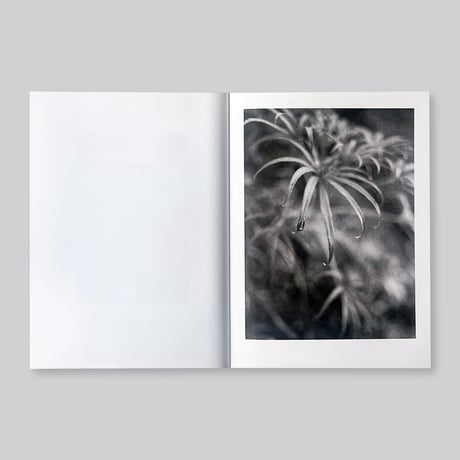 Jochen Lempert / Paare / Pairs