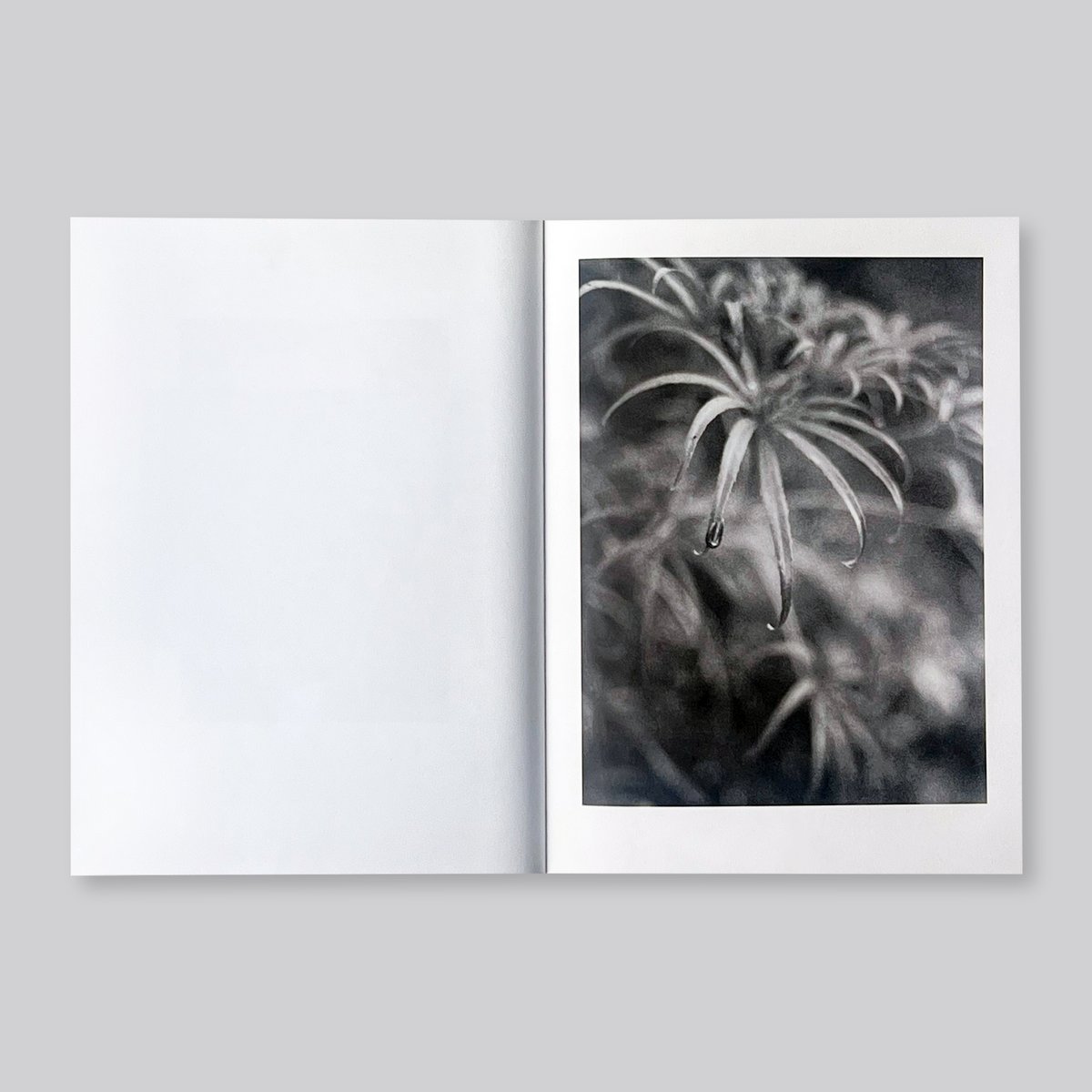 Jochen Lempert / Paare / Pairs | POST