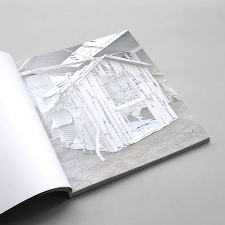 Rachel Whiteread / Internal Objects