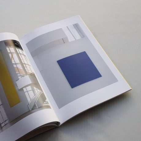 Ellsworth Kelly / Les Cahiers
