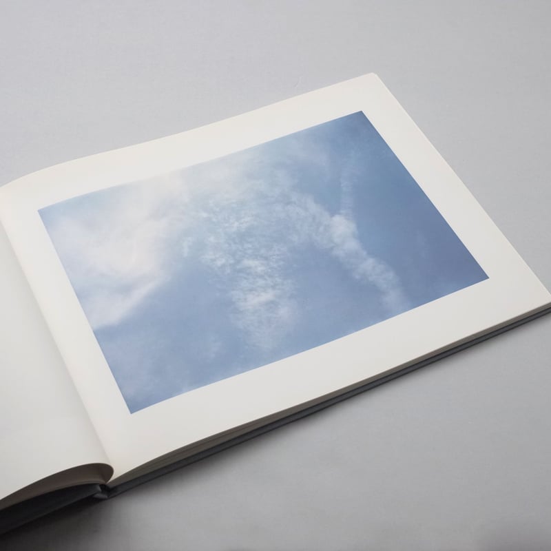 William Eggleston / At Zenith | POST William Eggleston / At Zenith | POST