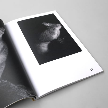 Felix Wilson / Nocturnal Ecologies