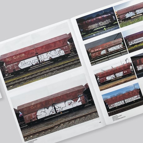 Boris Tellegen / 121/183, 761 photos of red-brown steel freight wagons with a painting on the side