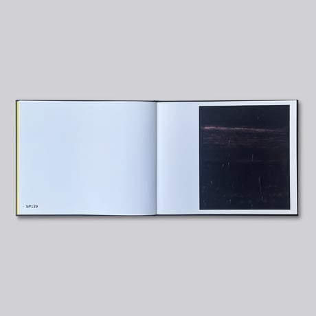 Sterling Ruby  / PAINTINGS