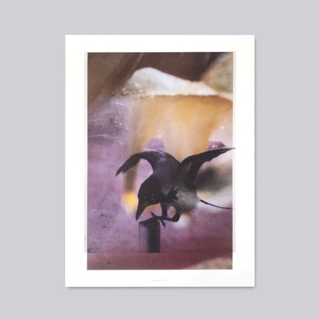 Stephen Gill / Magnificent Failure - Large Poster