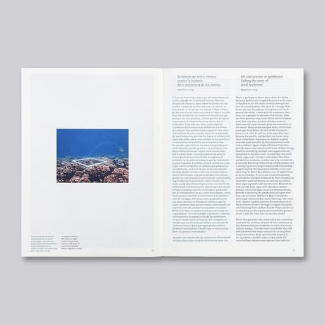 Irene Kopelman / A Matter of Framing. Notes on Representation Vol. 13