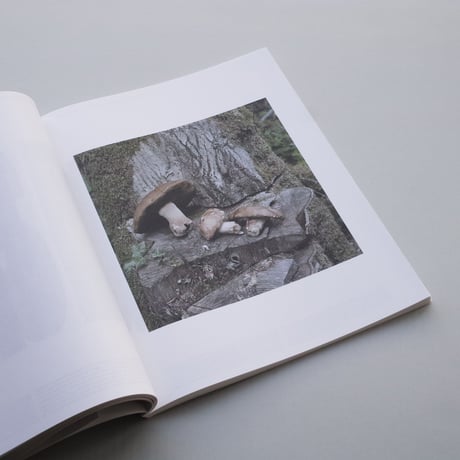 Jürgen Nefzger / Bure