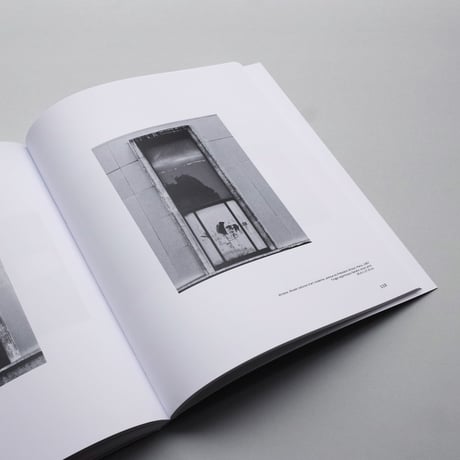 Ellsworth Kelly /  Windows