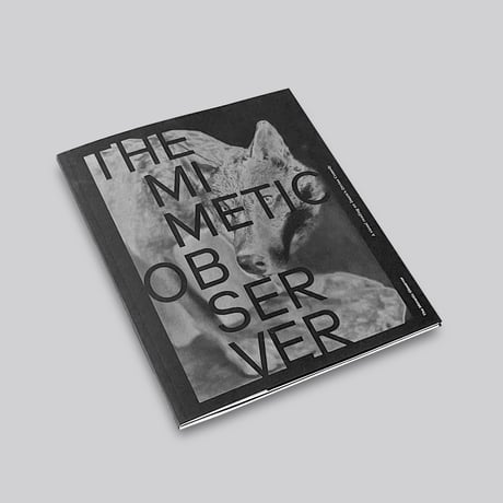The Mimetic Observer. A Visual Reading on Dante’s Divine Comedy
