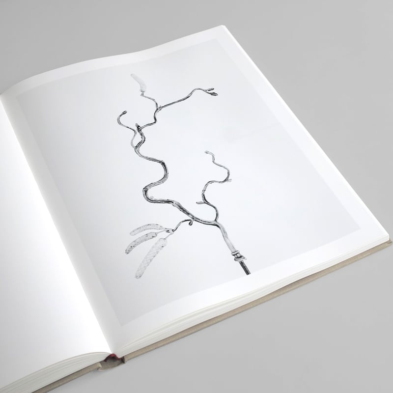 Robert Voit / The Alphabet of New Plants | POST