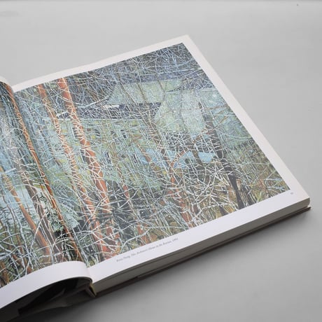 Peter Doig / No Foreign Lands