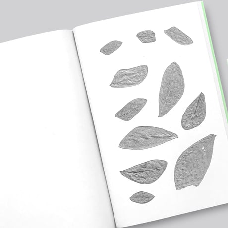 Jamie Yeo / Plant Scans