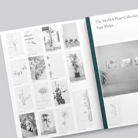 Inge Meijer / The MoMA Plant Collection