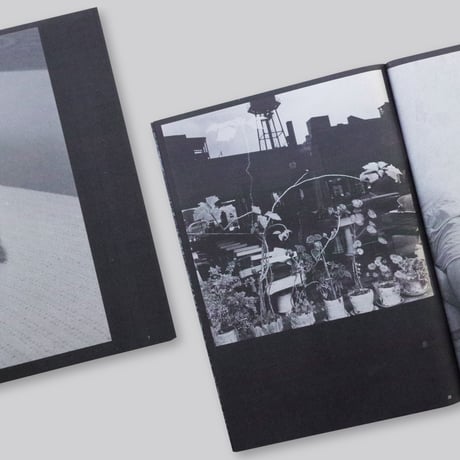 Paul D'amato / Outs【First Edition (second printing)】