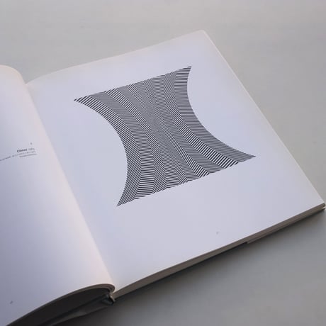 Bridget Riley / Bridget Riley