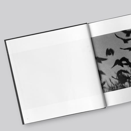 Masahisa Fukase / 鴉 / RAVENS