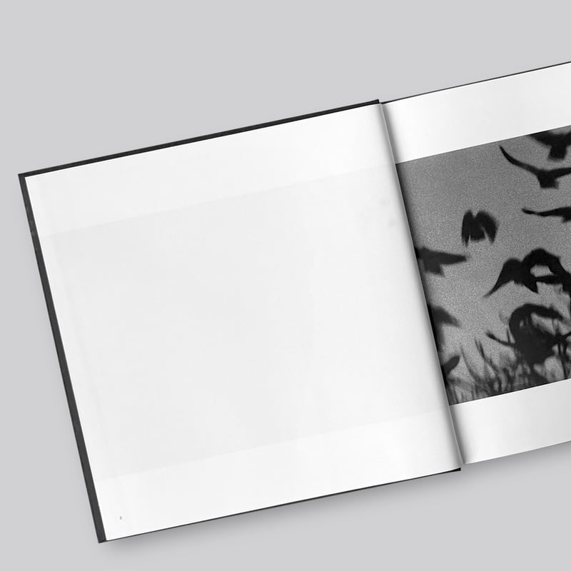 Masahisa Fukase / 鴉 / RAVENS | POST