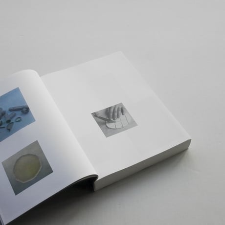 Ruth Van Beek / How To Do The Flowers