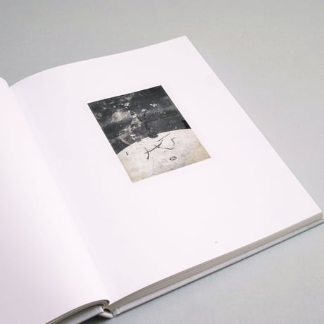 Laura Letinsky / TIME’S ASSIGNATION, THE POLAROIDS