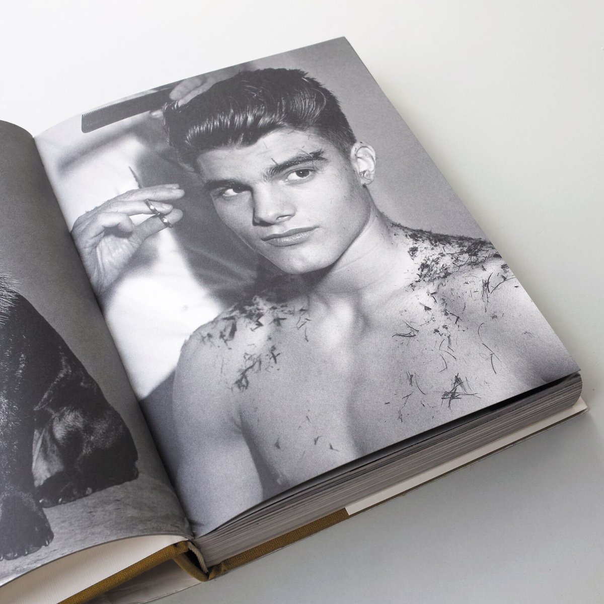 ブルース・ウェバー THE CHOP SUEY CLUB Bruce Weber / THE CHOP SUEY CLUB | POST