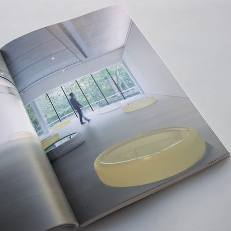 Roni Horn / When You See Your Reflection in Water, Do You Recognize the Water in You?