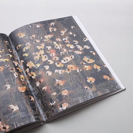 Anselm Kiefer / Bucher
