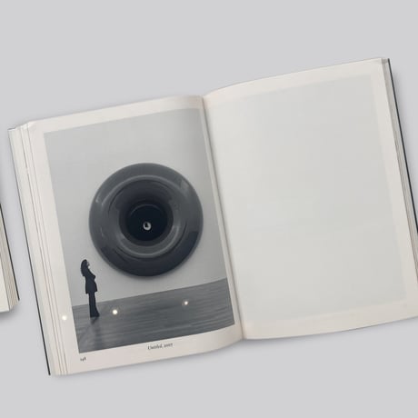 Anish Kapoor / Untrue Unreal