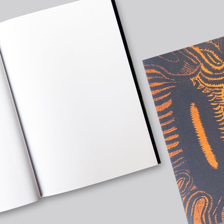 Yayoi Kusama / The Journal