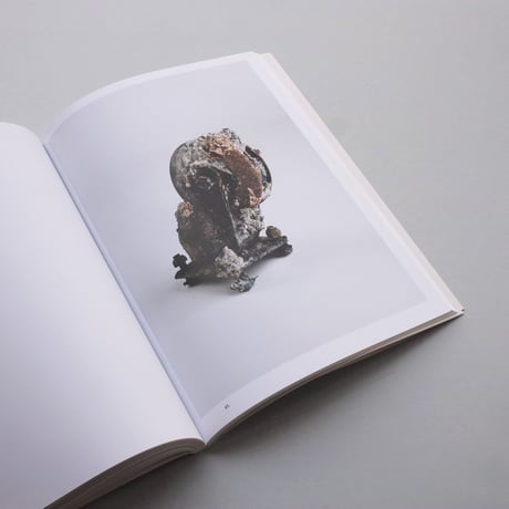 Sema Bekirovic / Reading By Osmosis - Nature Interprets Man