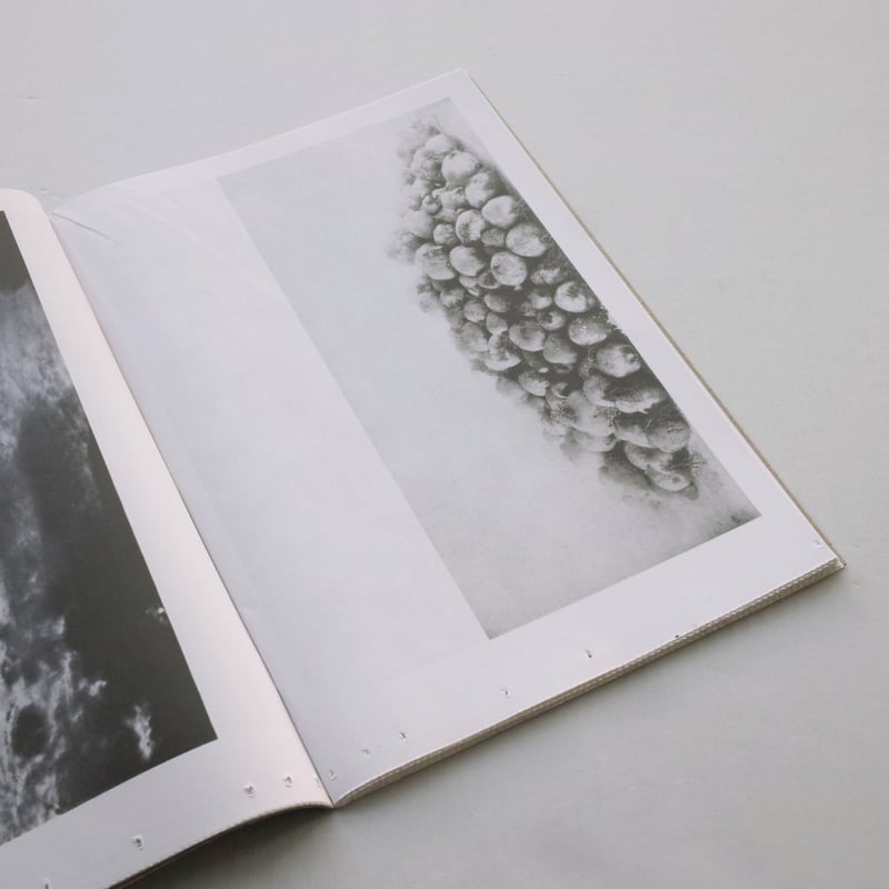 Batia Suter / Cloud Service | POST