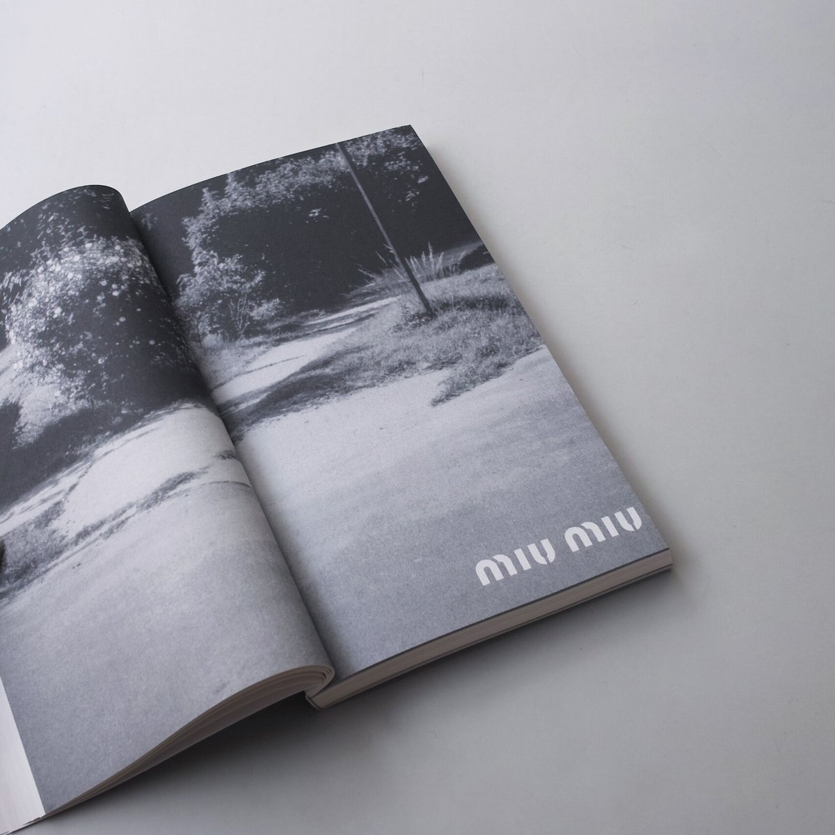 アート・デザイン・音楽 MARK BORTHWICK SOCIAL DOCUMENTARIES AMID Mark Borthwick / SOCIAL DOCUMENTARIES AMID THIS