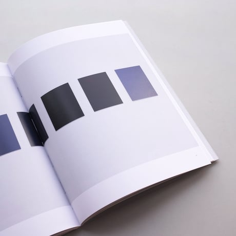 Sherrie Levine / After Reinhardt