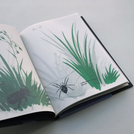 Bruno Munari / In the Darkness of the Night