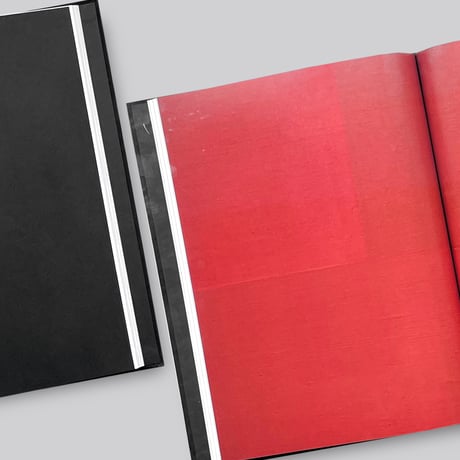 James Turrell / Ad Reinhardt: Color Out of Darkness