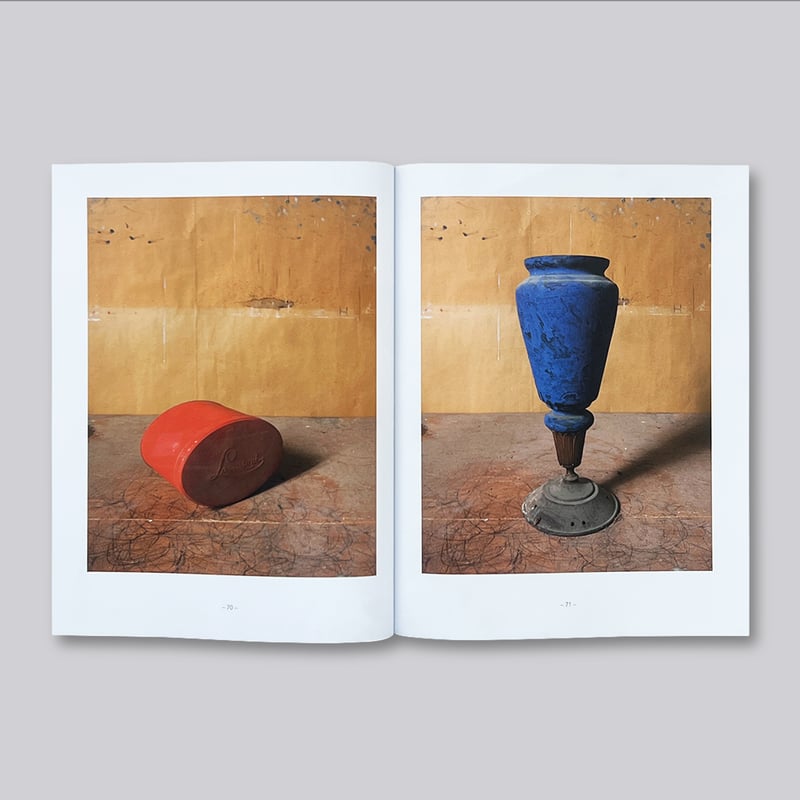 Joel Meyerowitz / Morandi's Objects: The Comple