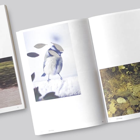 Anne Geene & Arjan De Nooy / Ornithology